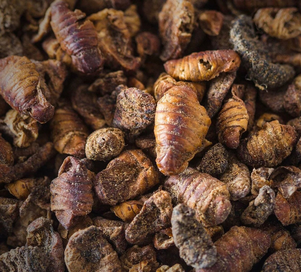 Premium Dried Silkworm Pupae