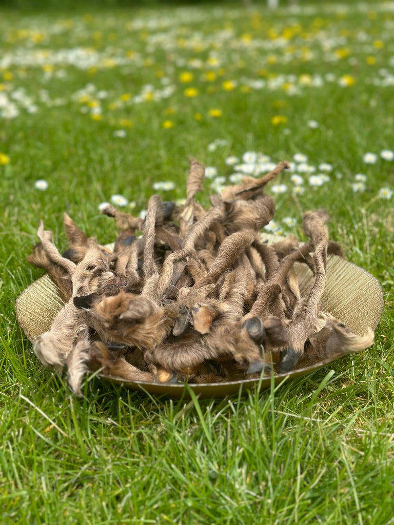 Premium Hairy Deer Skin with Claws