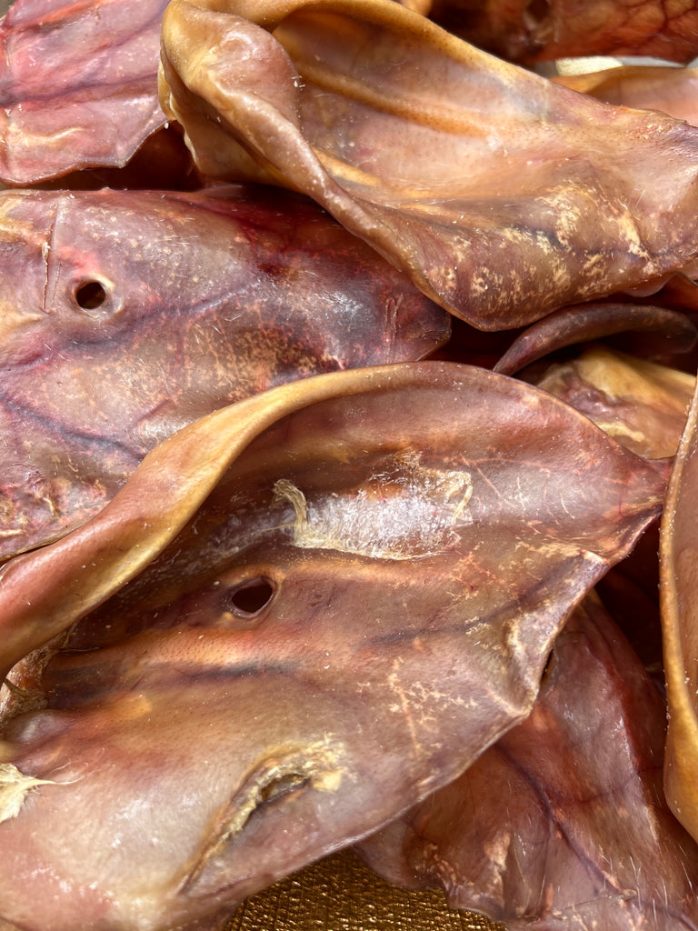 Premium Large Pigs Ear