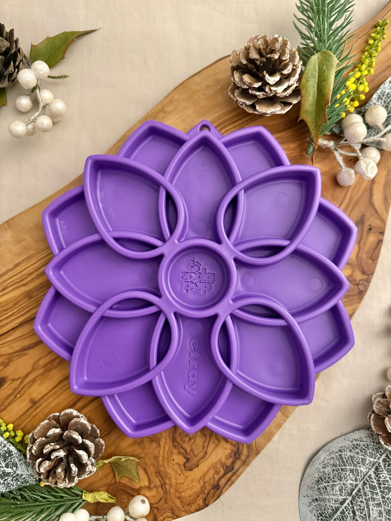 MANDALA DESIGN ETRAY ENRICHMENT