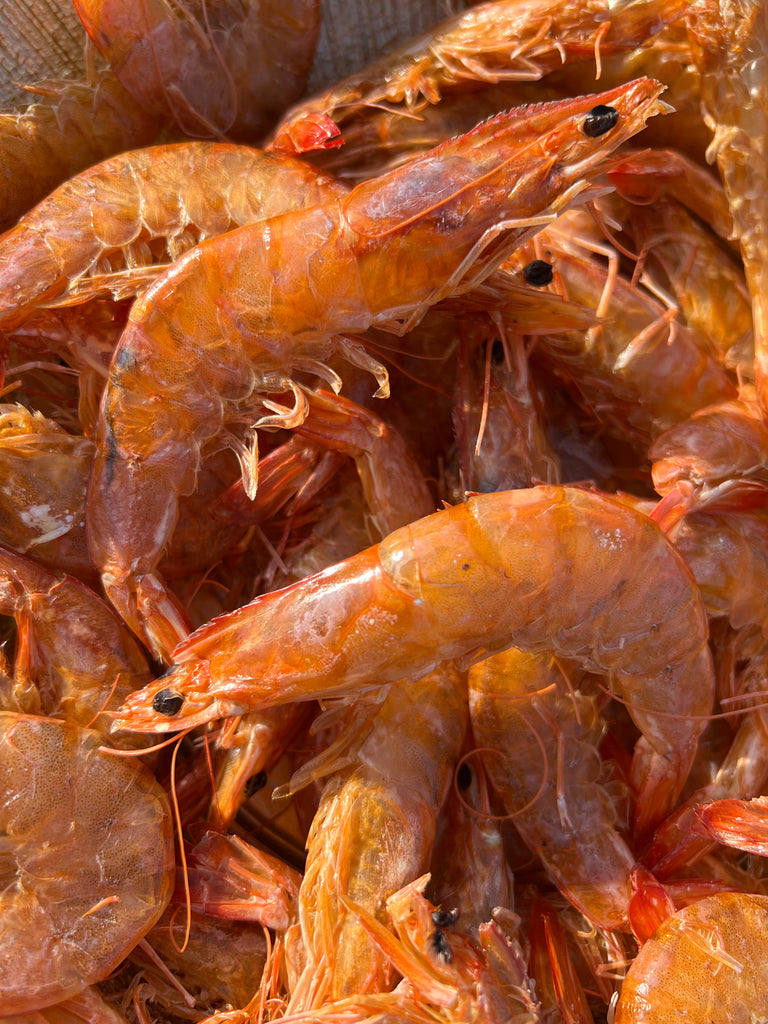 Premium Dehydrated Whole Prawns