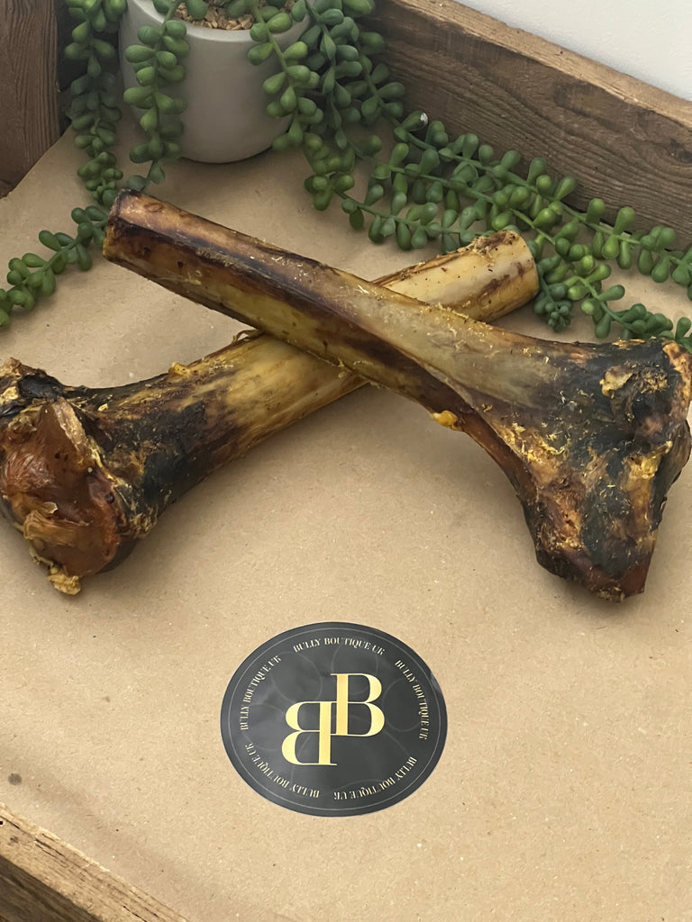 Premium Ostrich Large Tibia Bone