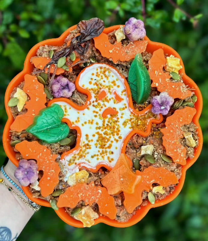Halloween Enrichment Slow Feeder Pumpkin Orange