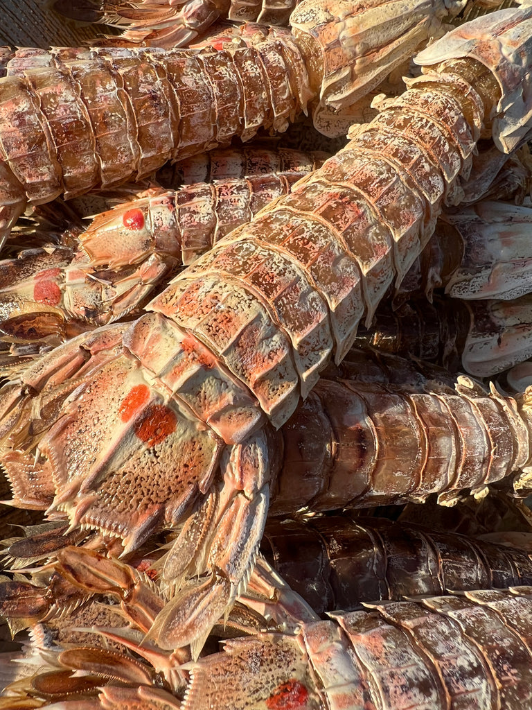 Premium Dehydrated Whole Mantis Shrimp