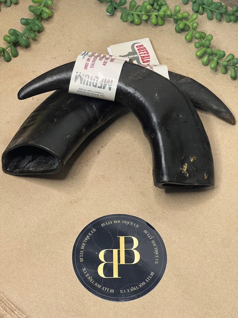 Premium Buffalo Horn