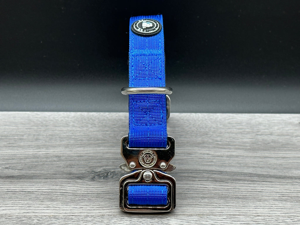 2.5cm BTactical Collar - Blue | Durable Dog Collar