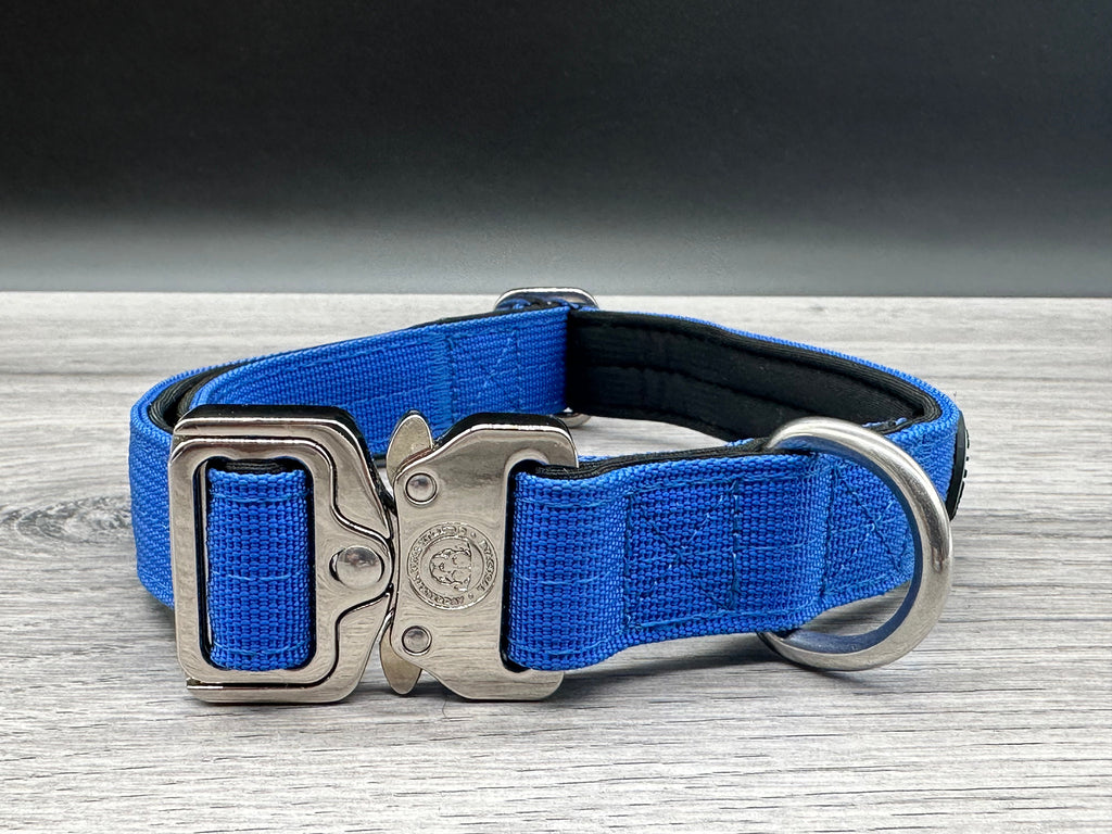 2.5cm BTactical Collar - Blue | Durable Dog Collar