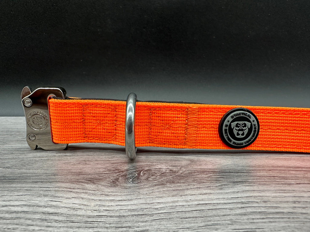 2.5cm BTactical Collar - Orange | Durable Dog Collar