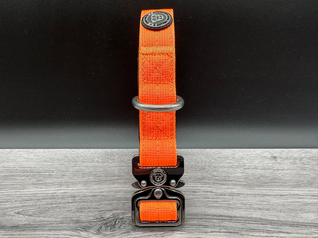 2.5cm BTactical Collar - Orange | Durable Dog Collar