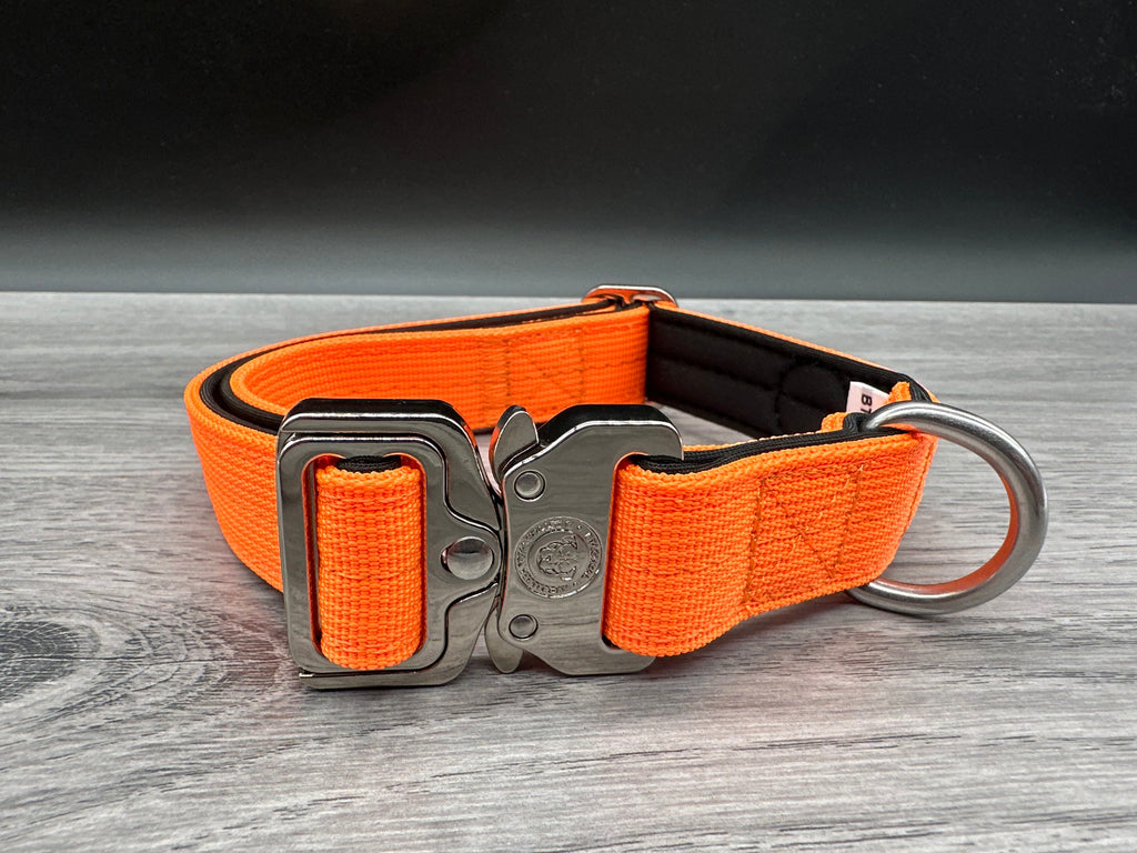 2.5cm BTactical Collar - Orange | Durable Dog Collar