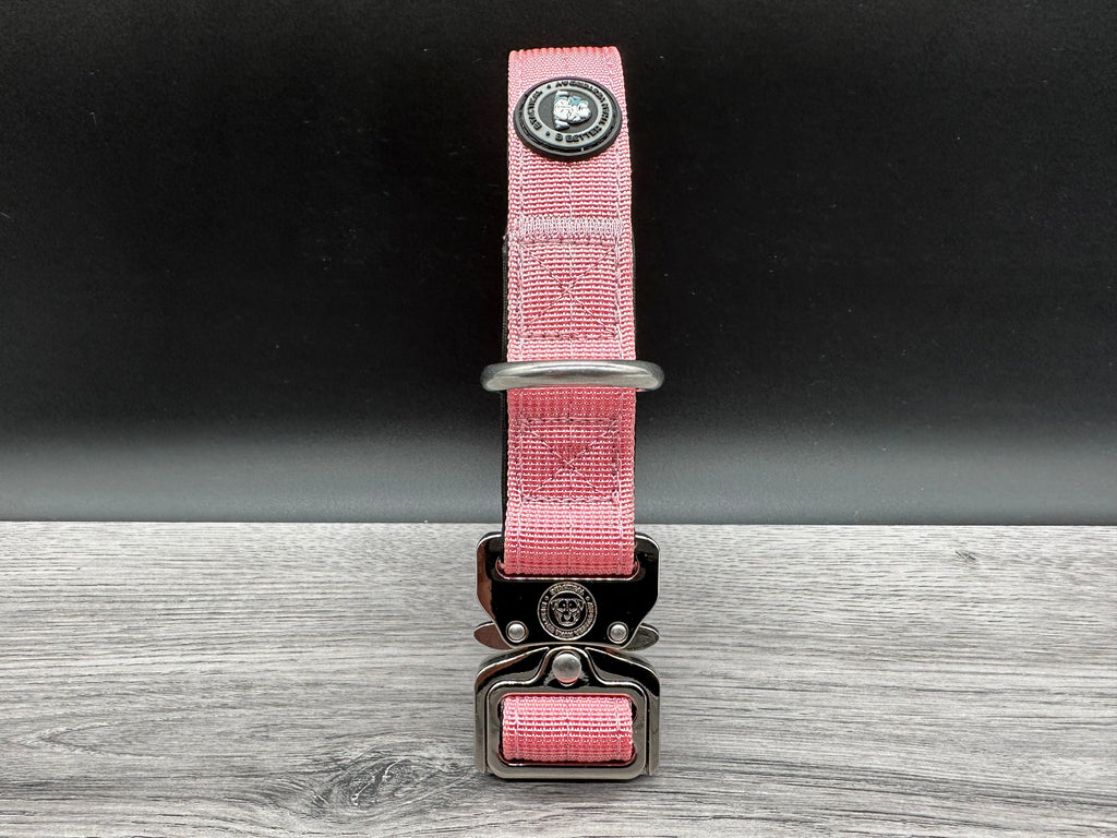 2.5cm BTactical Collar - Pink | Durable Dog Collar