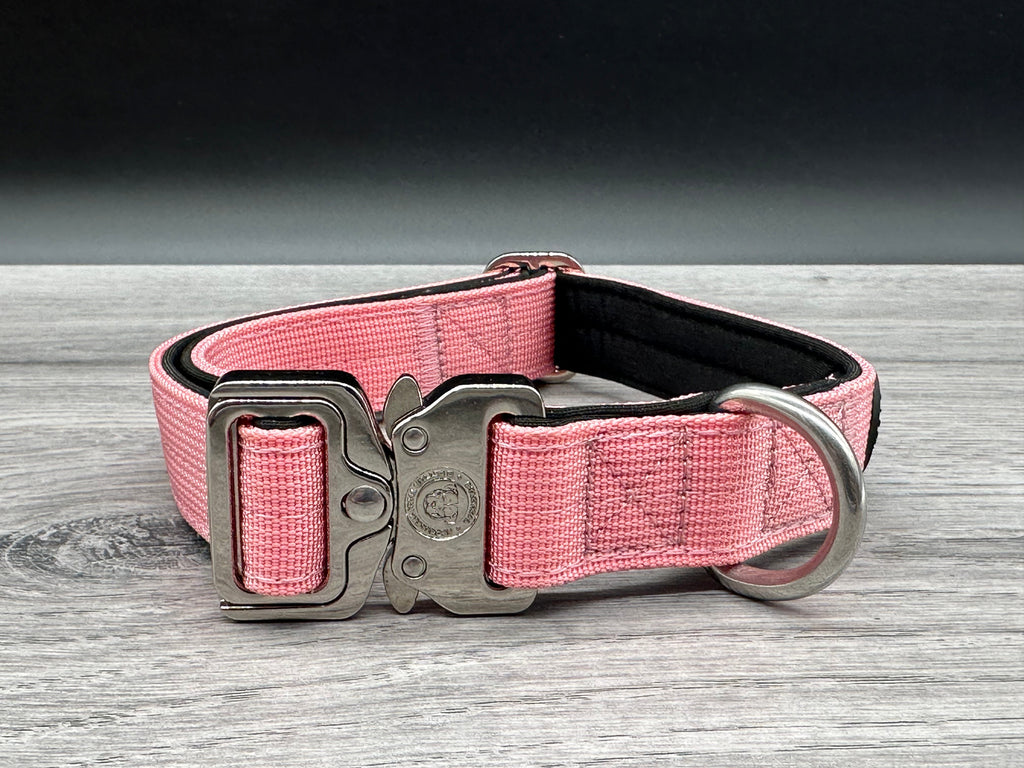 2.5cm BTactical Collar - Pink | Durable Dog Collar