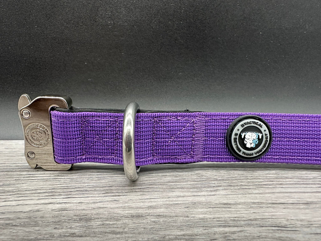 2.5cm BTactical Collar - Purple | Durable Dog Collar