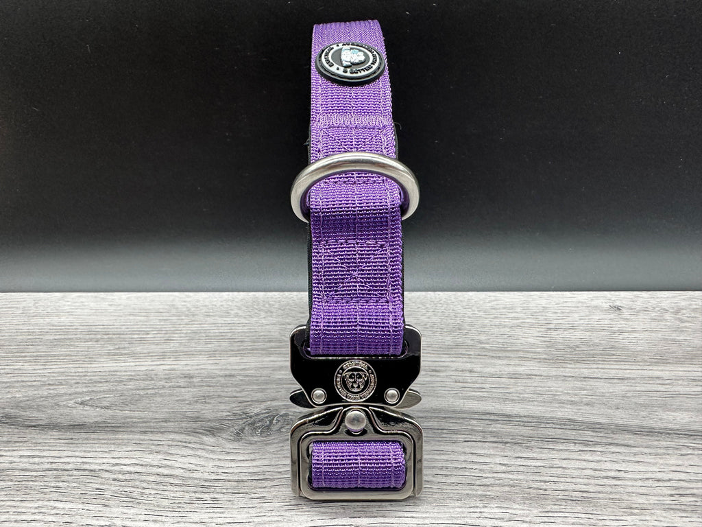 2.5cm BTactical Collar - Purple | Durable Dog Collar