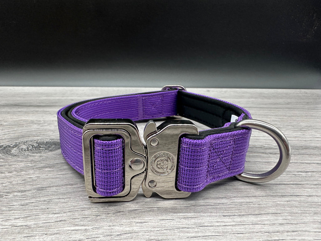 2.5cm BTactical Collar - Purple | Durable Dog Collar