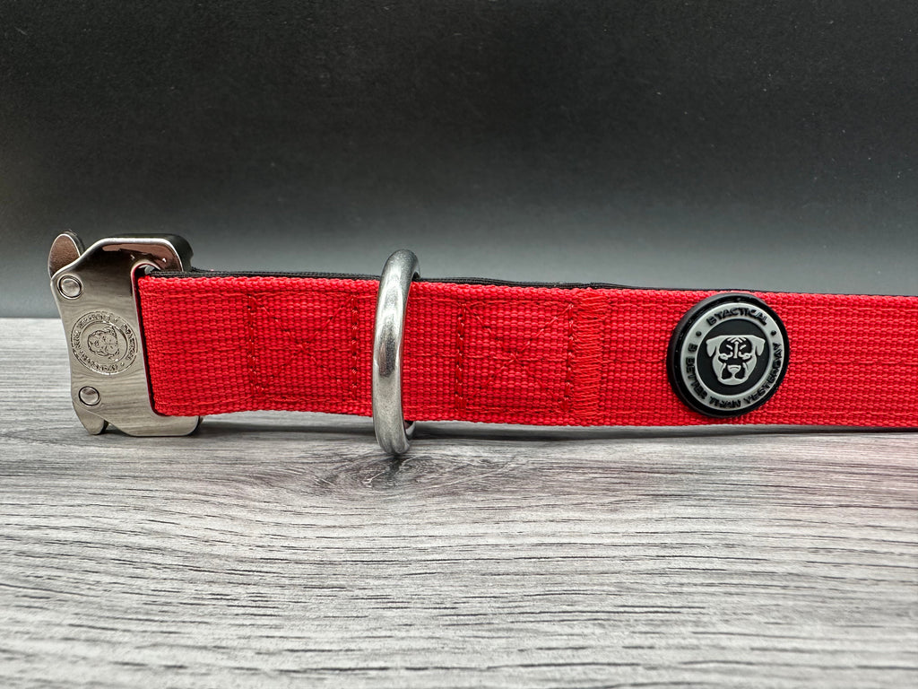 2.5cm BTactical Collar - Red | Durable Dog Collar