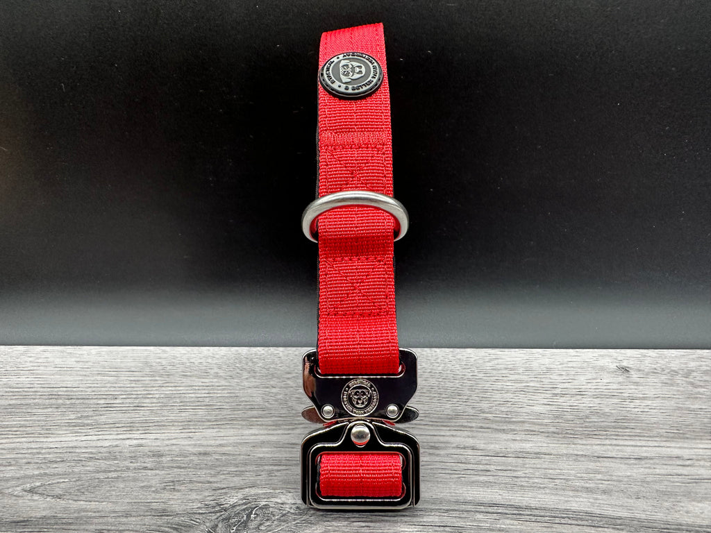 2.5cm BTactical Collar - Red | Durable Dog Collar