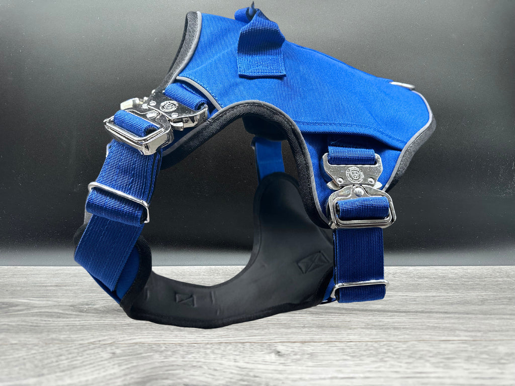 The Ultimate BTactical Harness - Blue | Durable Tracker Dog Harness