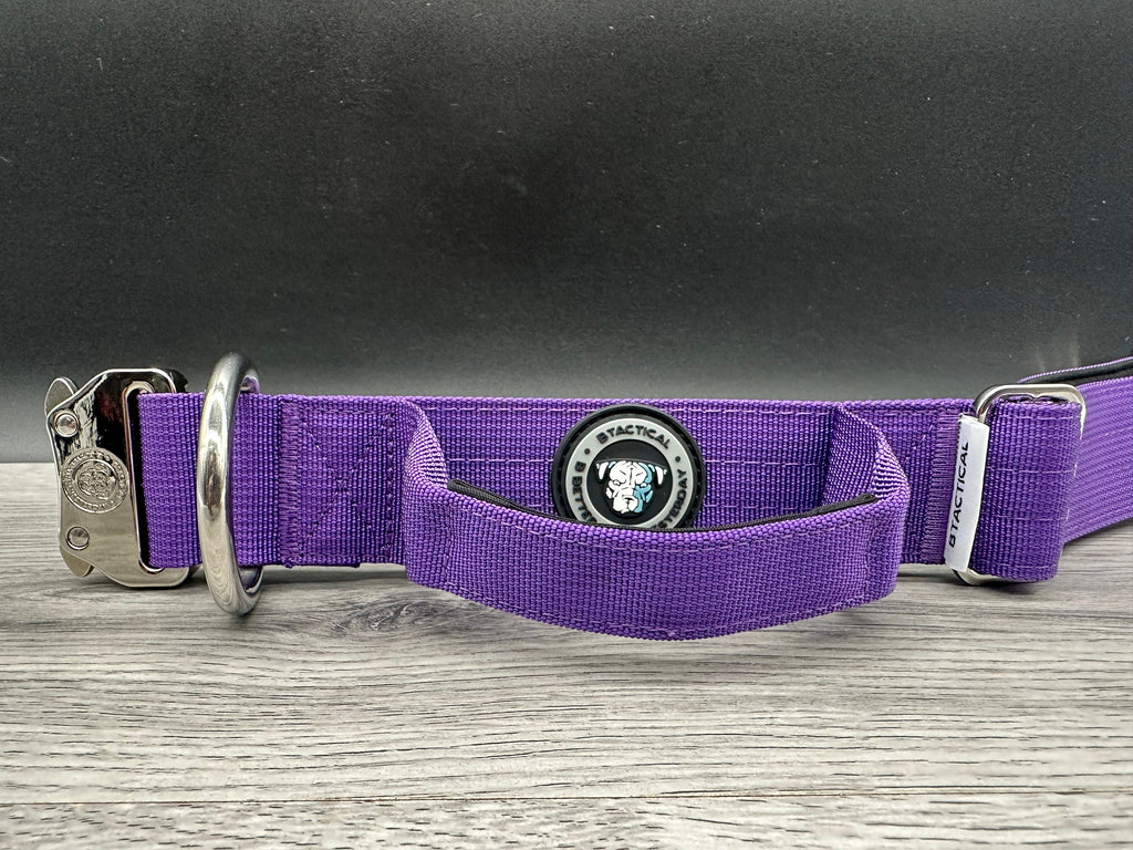 4cm BTactical Collar - Purple | Durable Dog Collar With Handle