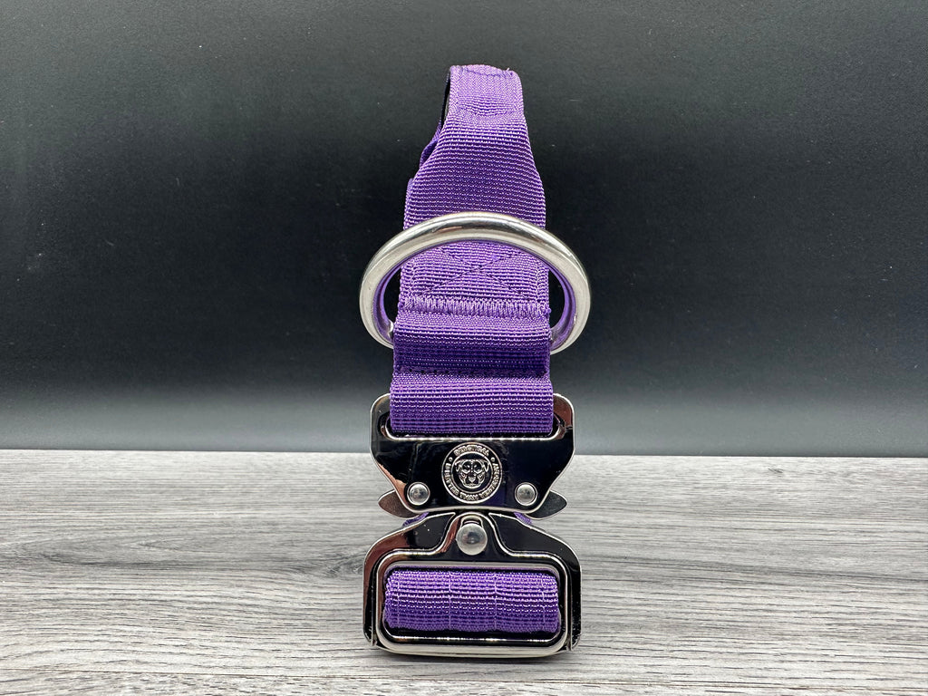 4cm BTactical Collar - Purple | Durable Dog Collar With Handle