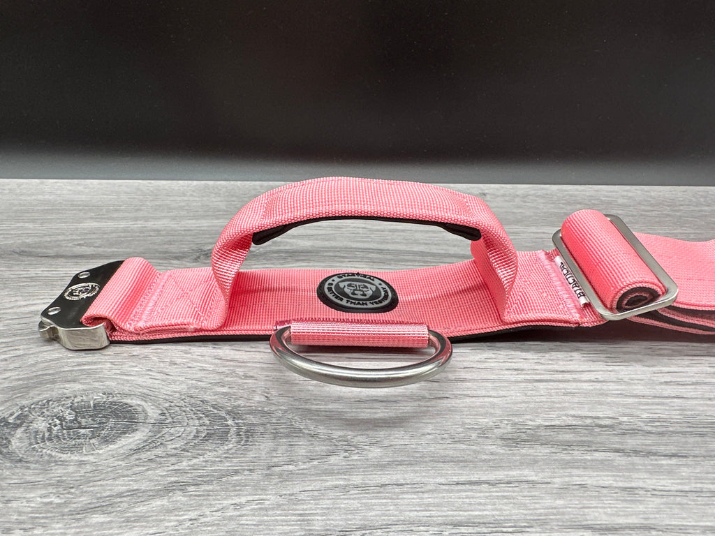 5cm BTactical Collar - Pink | Durable Dog Collar With Handle