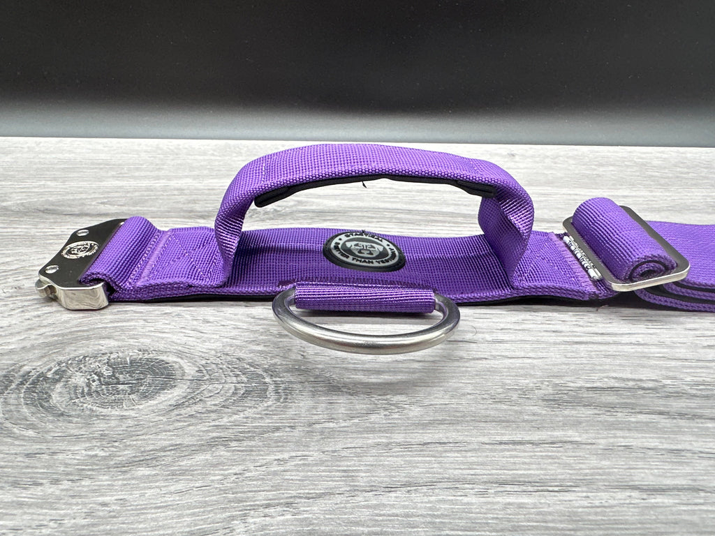 5cm BTactical Collar - Purple | Durable Dog Collar With Handle