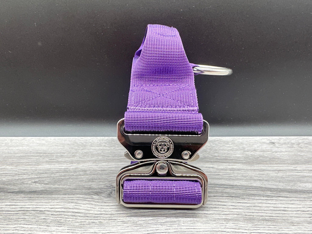 5cm BTactical Collar - Purple | Durable Dog Collar With Handle