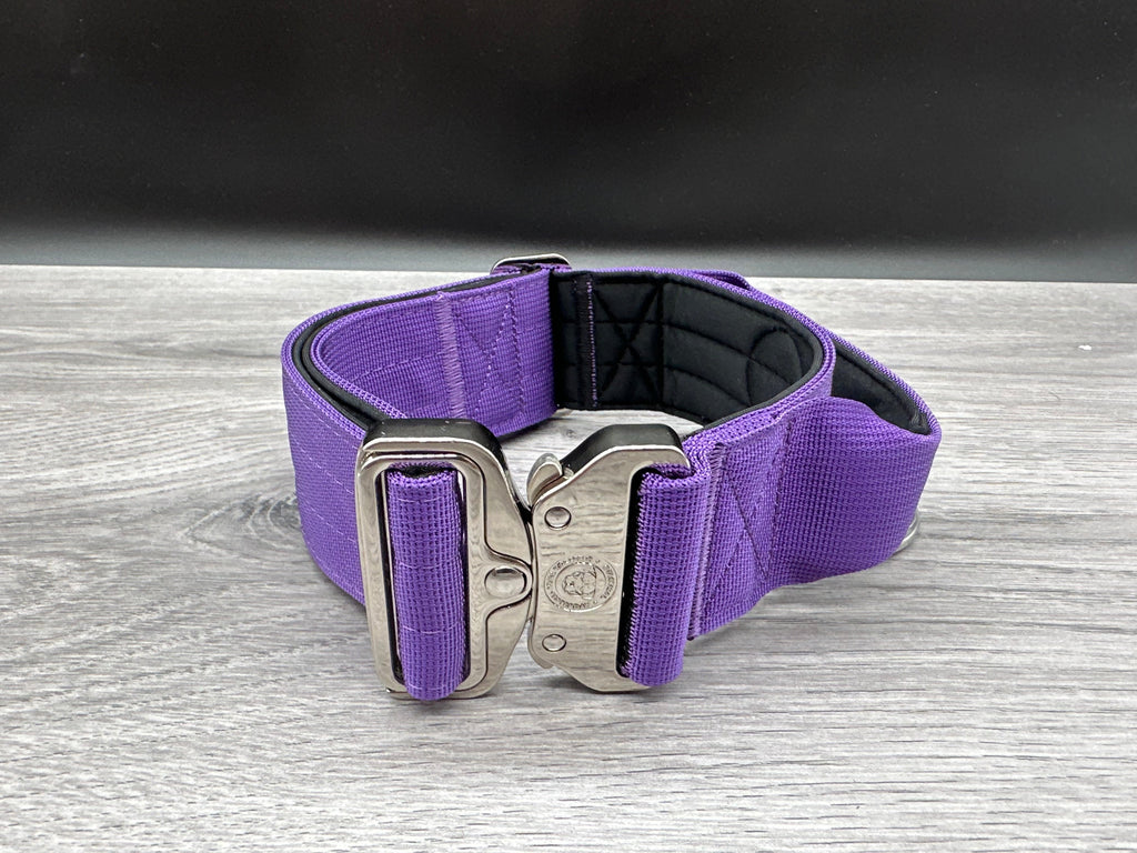 5cm BTactical Collar - Purple | Durable Dog Collar With Handle