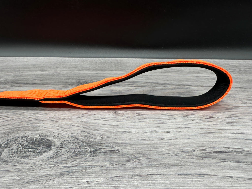 BTactical Lead - Orange | 150cm Extra Strong, Durable Carabiner Clip Dog Lead