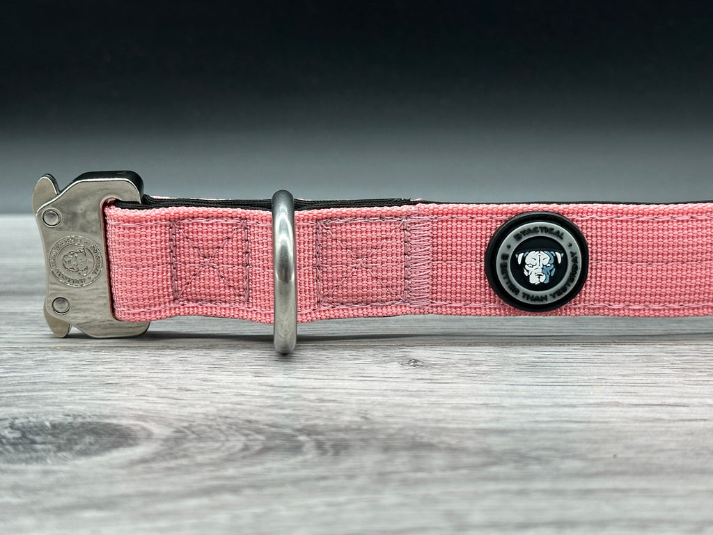 2.5cm BTactical Collar - Pink | Durable Dog Collar