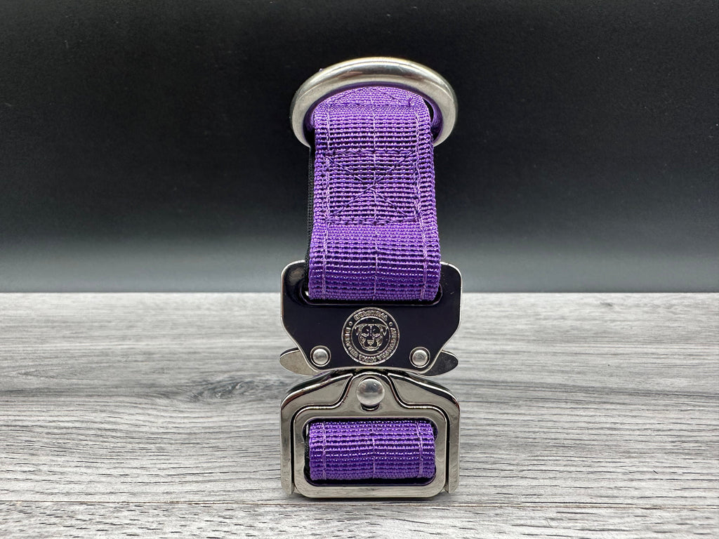 Puppy BTactical Collar - Purple | Durable Dog Collar